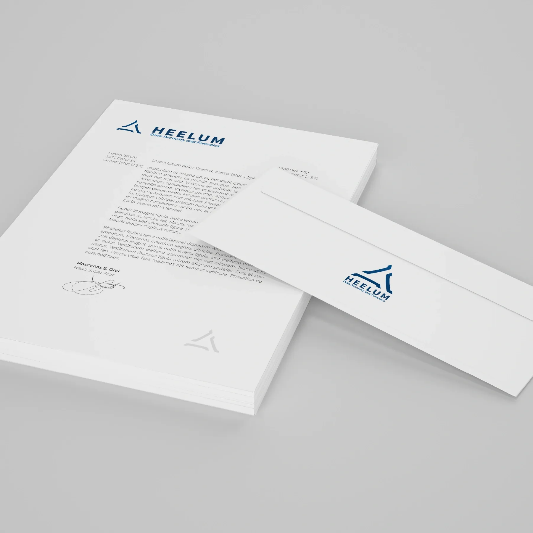 Aplicaciones de marca Heelum Data Recovery - 05