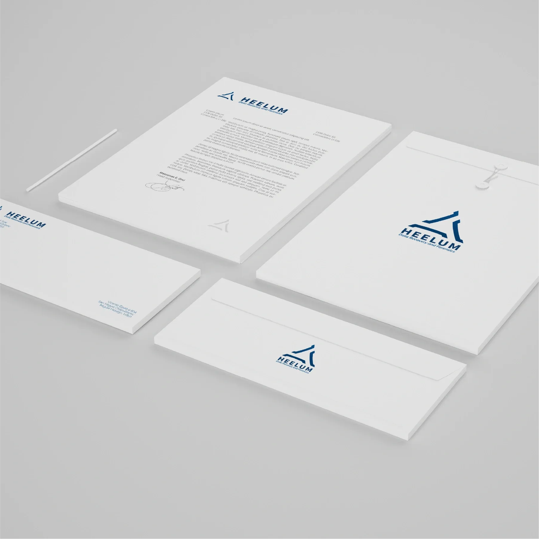 Aplicaciones de marca Heelum Data Recovery - 06