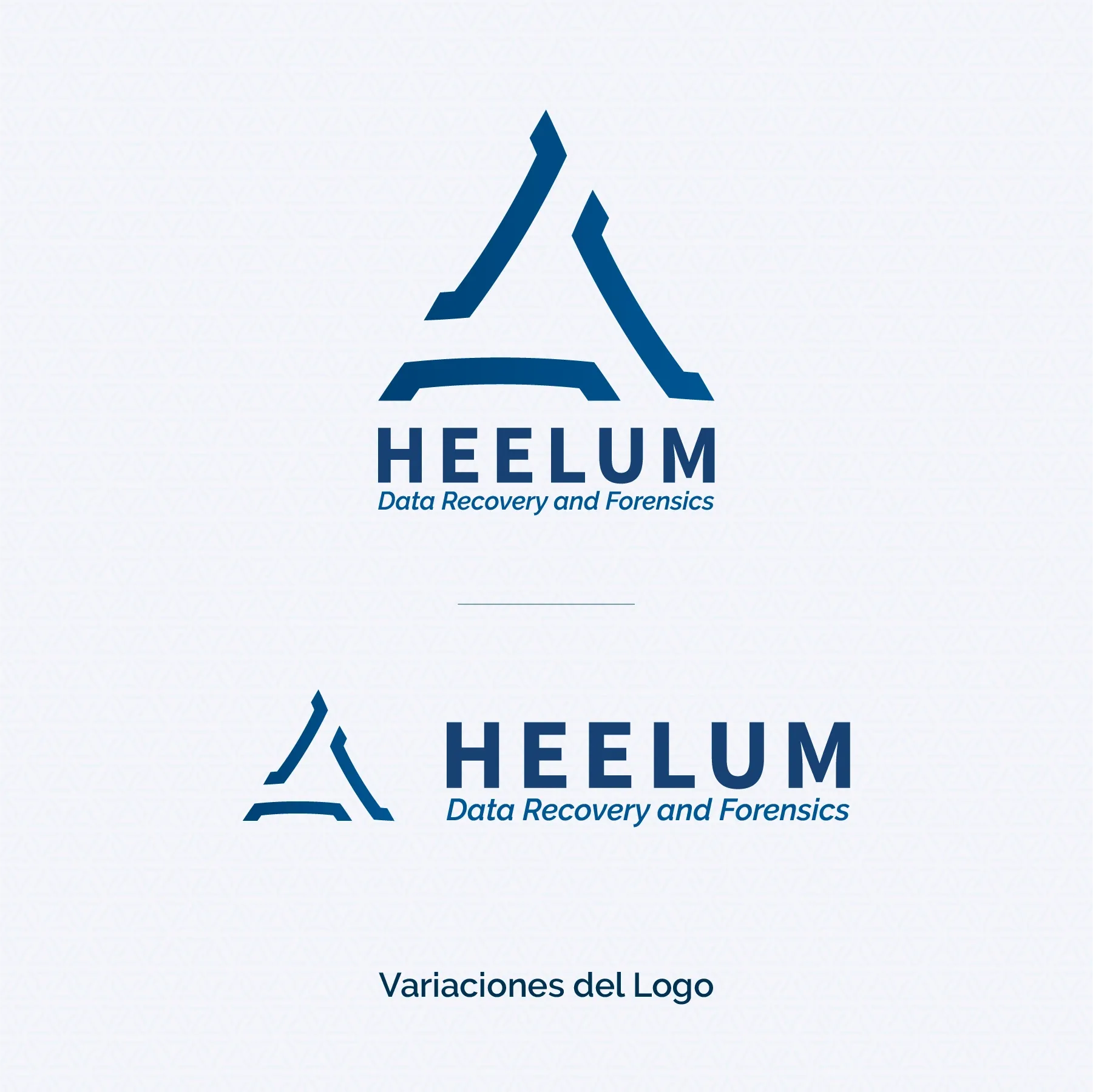 Brandbook Heelum Data Recovery - página 01