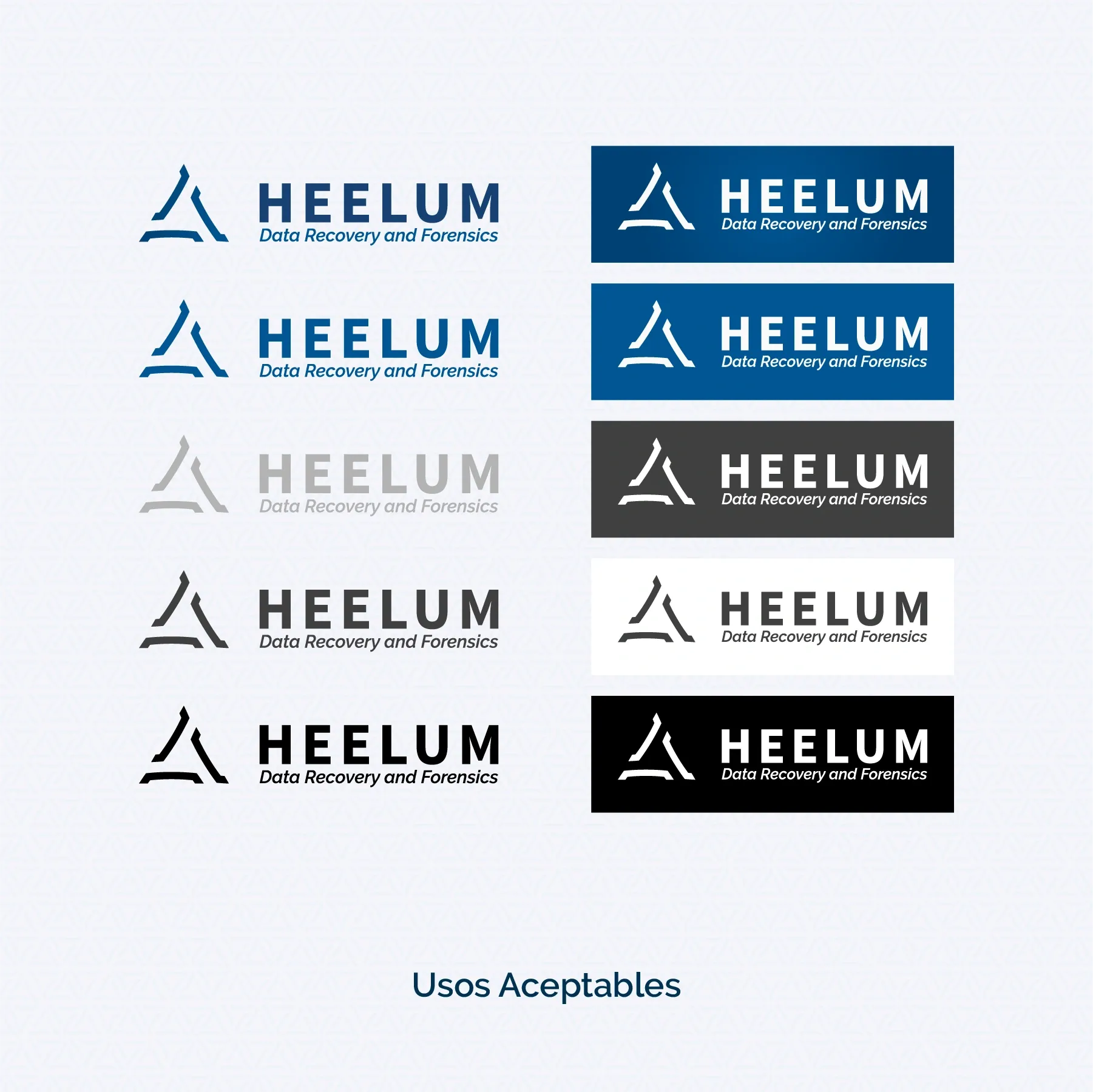 Brandbook Heelum Data Recovery - página 03